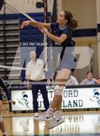 Photo from the gallery "Our Lady of Mercy @ Sutherland"