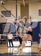 Photo from the gallery "Our Lady of Mercy @ Sutherland"