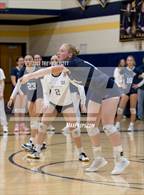 Photo from the gallery "Our Lady of Mercy @ Sutherland"