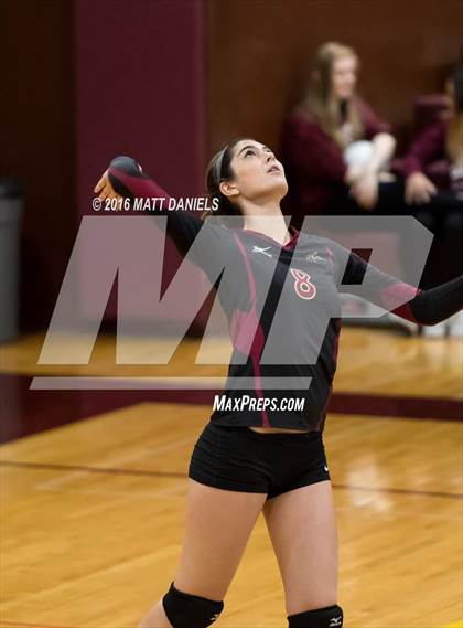 Thumbnail 2 in Erie vs. Ponderosa (CHSAA 4A Region 3) photogallery.