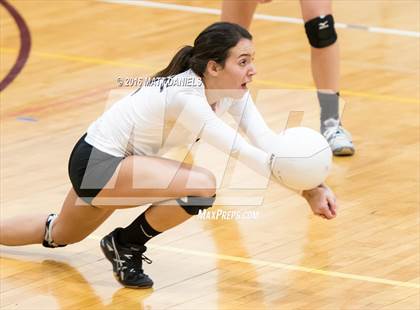 Thumbnail 2 in Erie vs. Ponderosa (CHSAA 4A Region 3) photogallery.