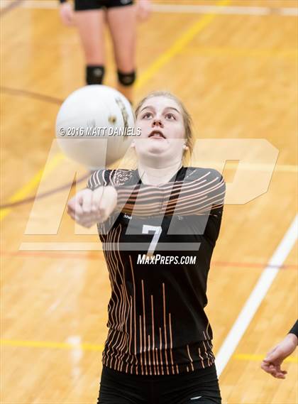 Thumbnail 2 in Erie vs. Ponderosa (CHSAA 4A Region 3) photogallery.