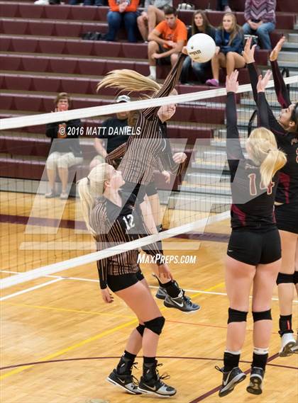 Thumbnail 1 in Erie vs. Ponderosa (CHSAA 4A Region 3) photogallery.