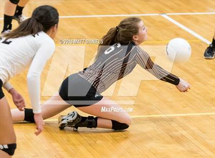 Thumbnail 1 in Erie vs. Ponderosa (CHSAA 4A Region 3) photogallery.