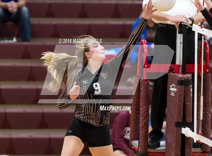 Thumbnail 3 in Erie vs. Ponderosa (CHSAA 4A Region 3) photogallery.