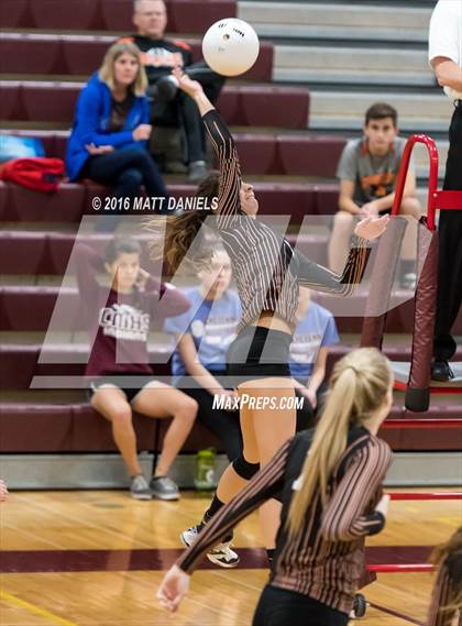 Thumbnail 2 in Erie vs. Ponderosa (CHSAA 4A Region 3) photogallery.
