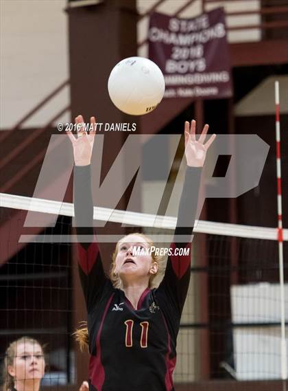 Thumbnail 2 in Erie vs. Ponderosa (CHSAA 4A Region 3) photogallery.