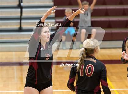 Thumbnail 2 in Erie vs. Ponderosa (CHSAA 4A Region 3) photogallery.