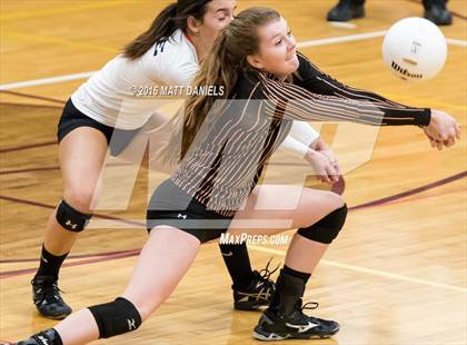 Thumbnail 2 in Erie vs. Ponderosa (CHSAA 4A Region 3) photogallery.