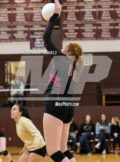 Thumbnail 3 in Erie vs. Ponderosa (CHSAA 4A Region 3) photogallery.