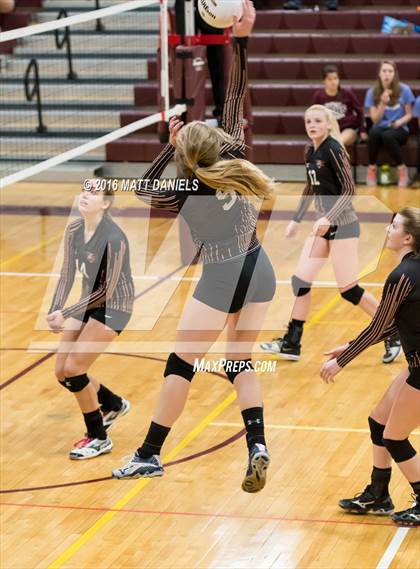 Thumbnail 2 in Erie vs. Ponderosa (CHSAA 4A Region 3) photogallery.
