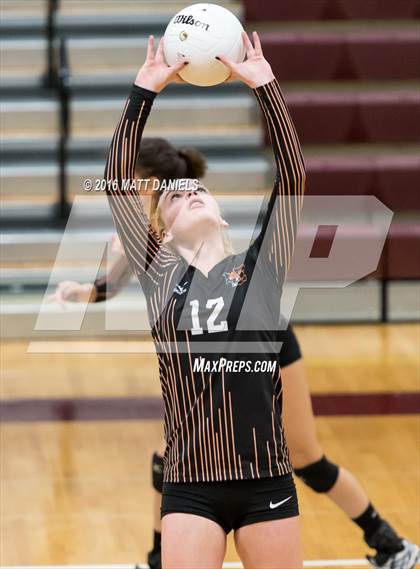 Thumbnail 2 in Erie vs. Ponderosa (CHSAA 4A Region 3) photogallery.