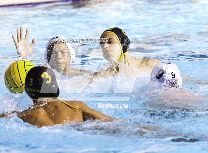 Thumbnail 2 in Brennan @ Sotomayor photogallery.