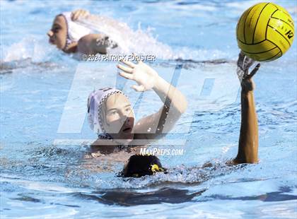 Thumbnail 3 in Brennan @ Sotomayor photogallery.