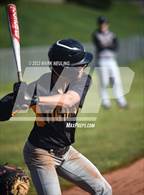 Photo from the gallery "Terra Nova @ El Camino"