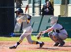 Photo from the gallery "Terra Nova @ El Camino"