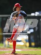 Photo from the gallery "Terra Nova @ El Camino"