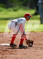 Photo from the gallery "Terra Nova @ El Camino"