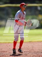 Photo from the gallery "Terra Nova @ El Camino"