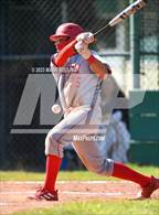 Photo from the gallery "Terra Nova @ El Camino"