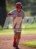 Photo from the gallery "Terra Nova @ El Camino"