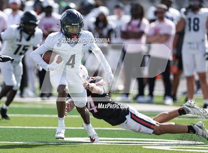 Thumbnail 2 in Randle @ Terry photogallery.