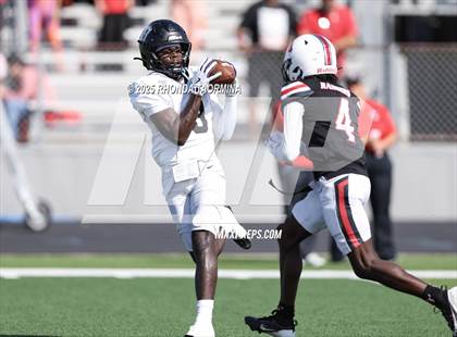 Thumbnail 3 in Randle @ Terry photogallery.