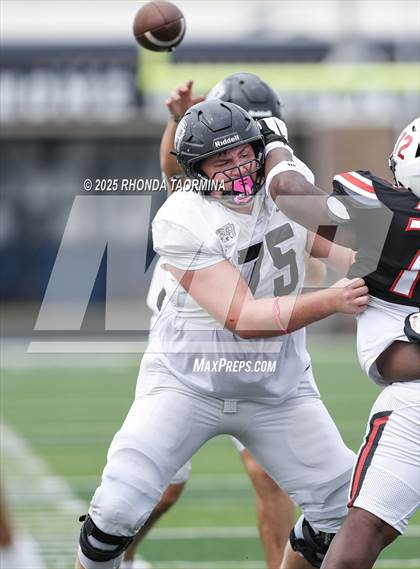 Thumbnail 2 in Randle @ Terry photogallery.