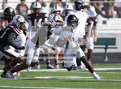 Thumbnail 2 in Randle @ Terry photogallery.