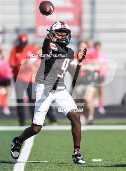 Thumbnail 3 in Randle @ Terry photogallery.