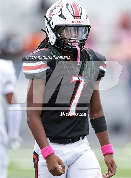 Thumbnail 3 in Randle @ Terry photogallery.