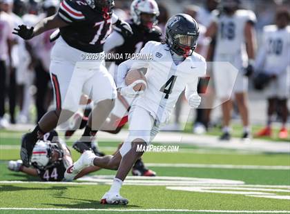 Thumbnail 3 in Randle @ Terry photogallery.