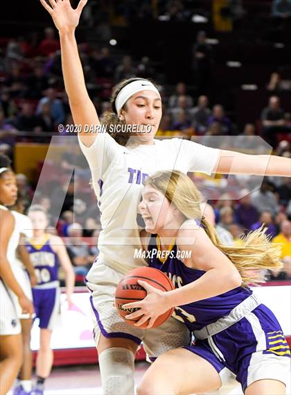Thumbnail 1 in Millennium vs. Sunrise Mountain (AIA 5A Final) photogallery.