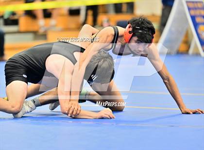 Thumbnail 1 in CIF SDS Division II Championship photogallery.