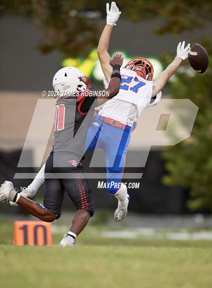 Thumbnail 1 in Bolles @ Andrew Jackson photogallery.