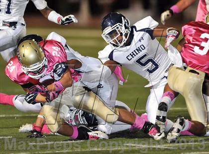 Thumbnail 1 in Chino @ Don Lugo photogallery.