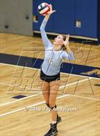 Photo from the gallery "Medfield @ Medway"