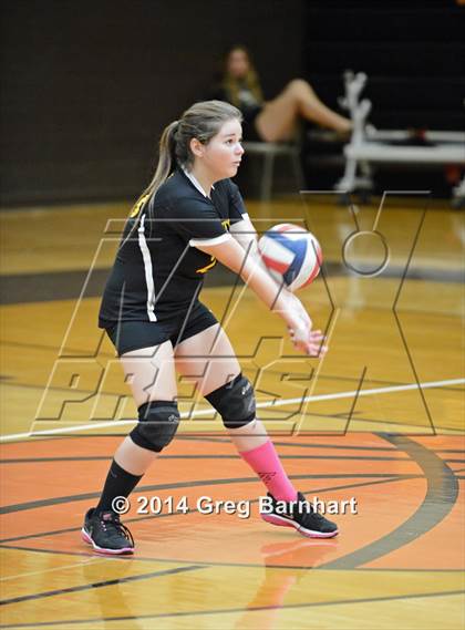 Thumbnail 2 in Rio Linda @ Yuba City photogallery.
