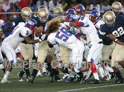 Thumbnail 3 in Serra @ Notre Dame photogallery.