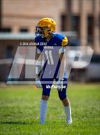 Photo from the gallery "The Classical Academy @ Florence"