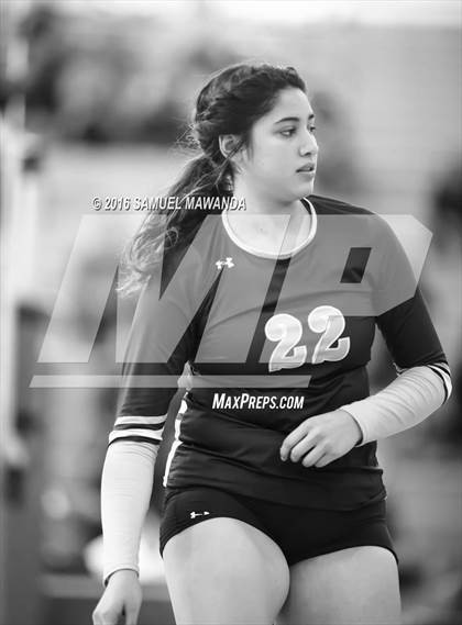 Thumbnail 2 in Wilson vs Poly (CIF LACS Final) photogallery.