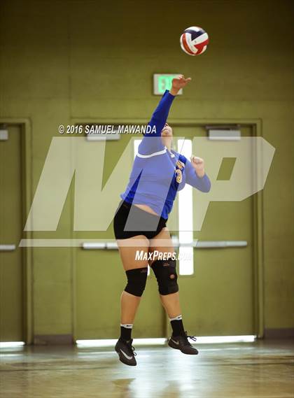 Thumbnail 2 in Wilson vs Poly (CIF LACS Final) photogallery.