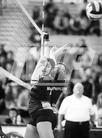 Thumbnail 2 in Wilson vs Poly (CIF LACS Final) photogallery.