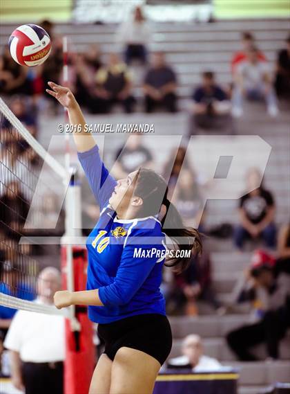 Thumbnail 3 in Wilson vs Poly (CIF LACS Final) photogallery.