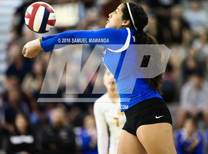 Thumbnail 2 in Wilson vs Poly (CIF LACS Final) photogallery.