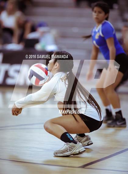 Thumbnail 3 in Wilson vs Poly (CIF LACS Final) photogallery.