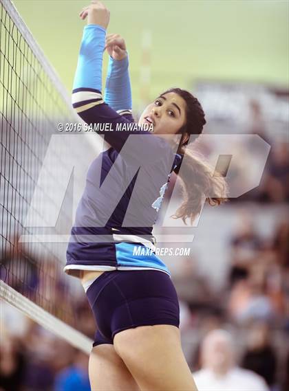 Thumbnail 1 in Wilson vs Poly (CIF LACS Final) photogallery.