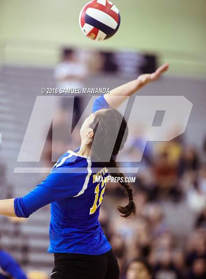 Thumbnail 1 in Wilson vs Poly (CIF LACS Final) photogallery.