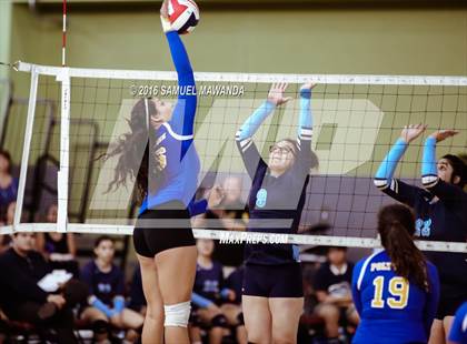 Thumbnail 2 in Wilson vs Poly (CIF LACS Final) photogallery.