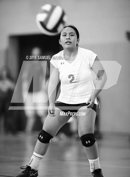 Thumbnail 3 in Wilson vs Poly (CIF LACS Final) photogallery.